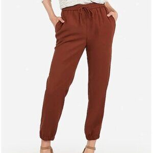 Express Midrise Brown Jogger Pants Women's Plus Size 2X